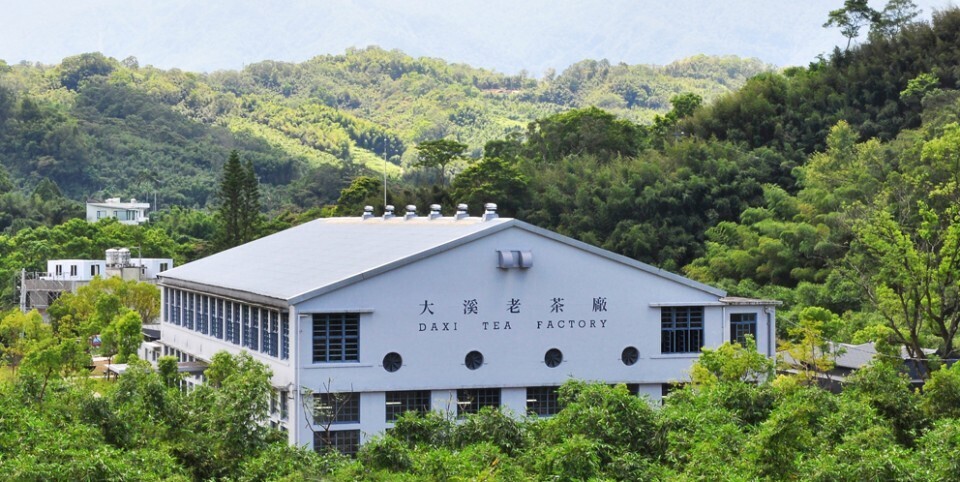 大溪老茶廠01